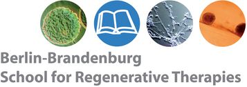 Logo of the Berlin-Brandenburg School for Regenerative Therapies