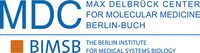 Logo of the MDC-NYU PhD Exchange Program of the Berlin Institute for Medical Systems Biology